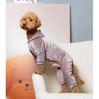 Костюм велюровий Кураж пудра D-243