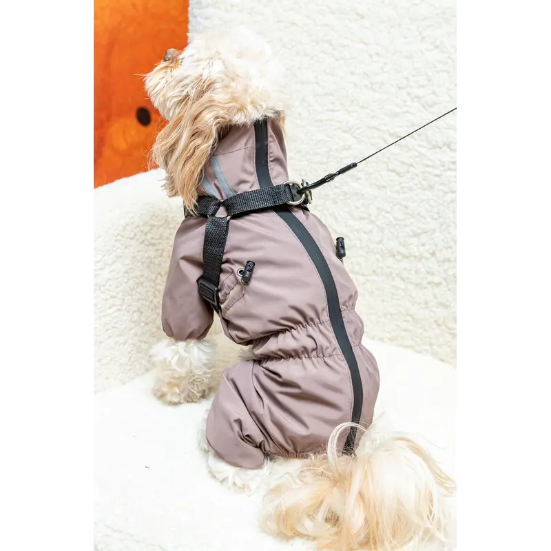 Дощовик зі шлеєю капучино MS-14