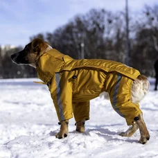 Дощовик на змійці Dogs Bomba гірчиця MZ-7