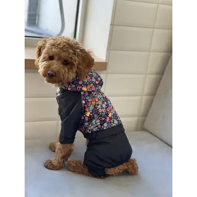 Дощовик DB сердечка M-45