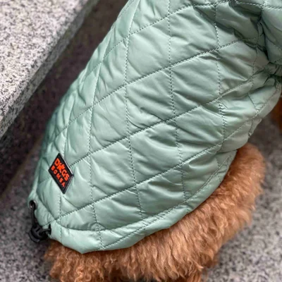 Жилет стежка Dogs Bomba м'ята G-69