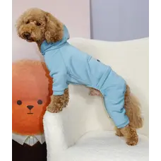 Костюм Dogs Bomba з кишенею бірюзовий D-226