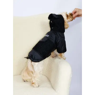 Куртка Teddy чорна K-98