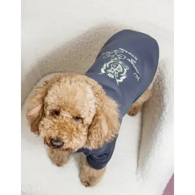 Толстовка Кураж сіра Y-377