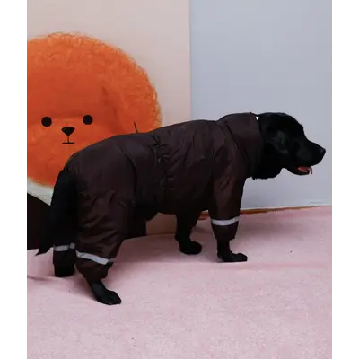 Дощовик для великих собак шоколад MB-10