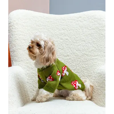 Светр в'язаний Грибочки оливка Y-399