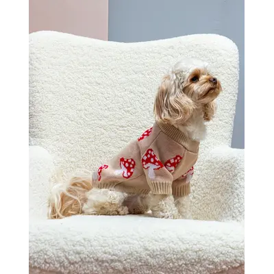 Светр в'язаний Грибочки беж Y-398