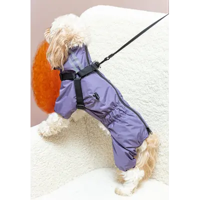 Дощовик зі шлеєю лаванда MS-15