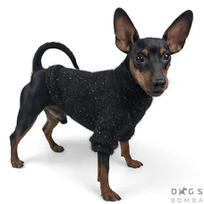 Светр Dogs Bomba травичка чорний Y-189