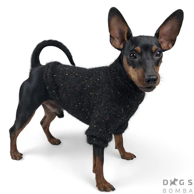 Светр Dogs Bomba травичка чорний Y-189