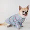 Сорочка Dogs Bomba Мiкi бірюзова 2