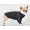 Сорочка Dogs Bomba RUB-40 Сорочка Dogs Bomba RUB-40