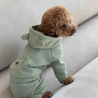 Костюм Dogs Bomba з кишенею оливка D-157