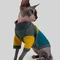 Светр для котiв в'язаний CAT зелено сірий SC-10