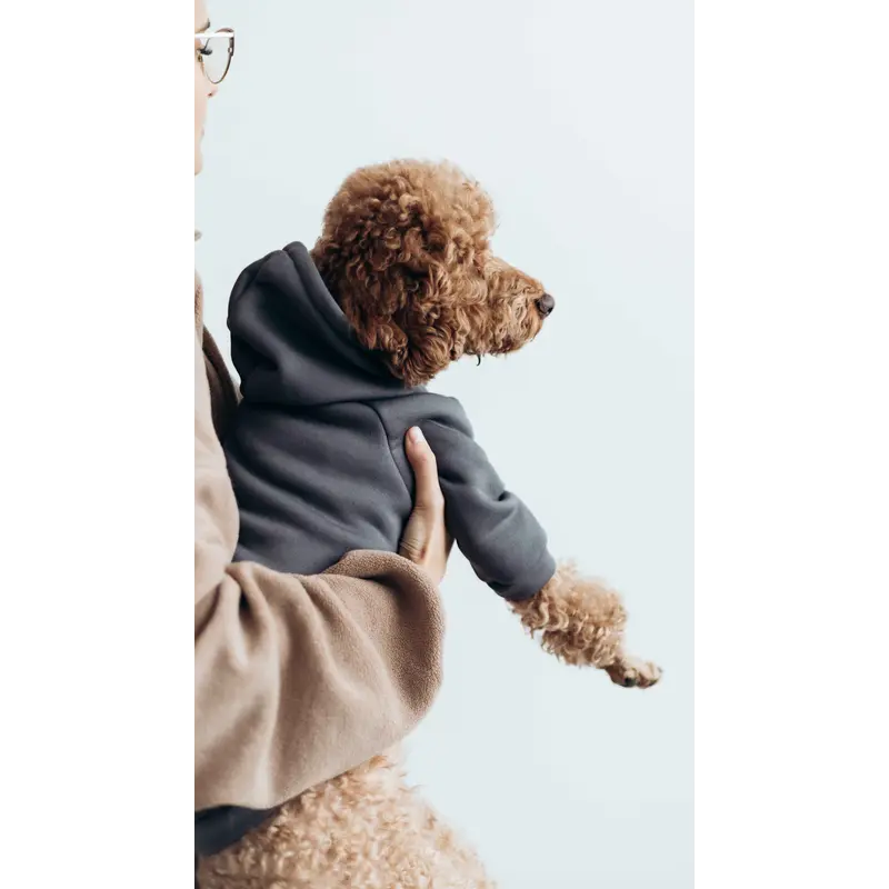 Толстовка кишеня сiра Y-321 Толстовка кишеня сiра Y-321