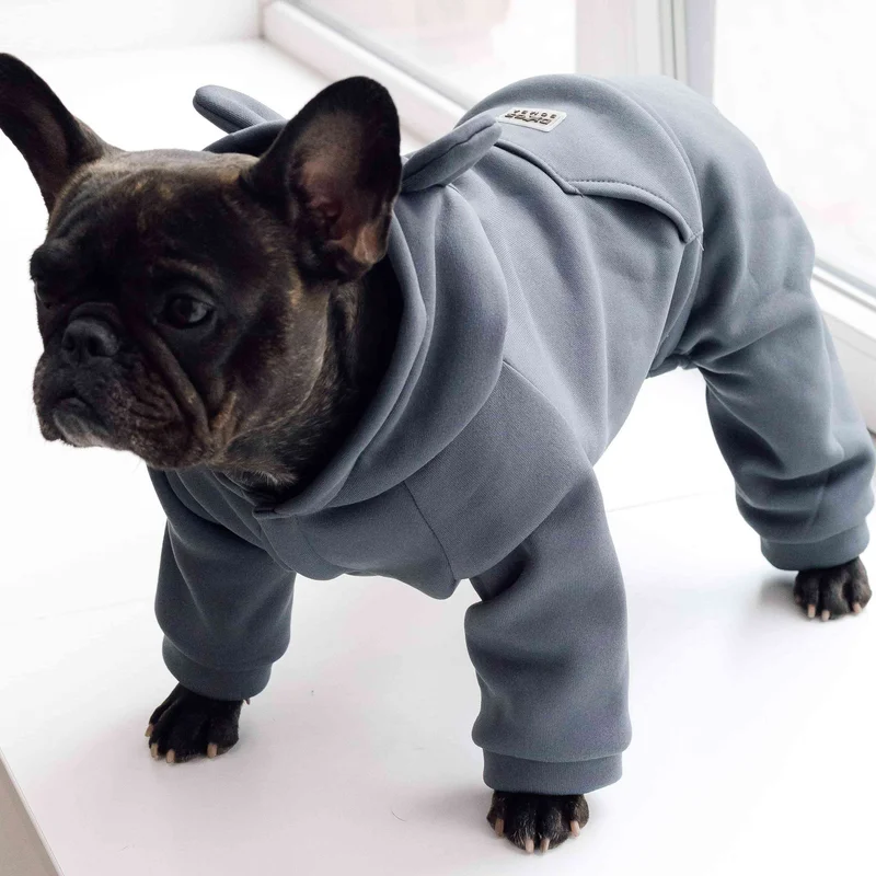 Костюм Dogs Bomba з кишенею сірий D-83
