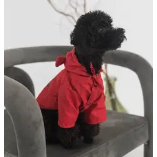 Дощовик парка DB винного кольору M-107