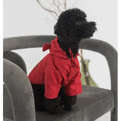 Дощовик парка DB винного кольору M-107