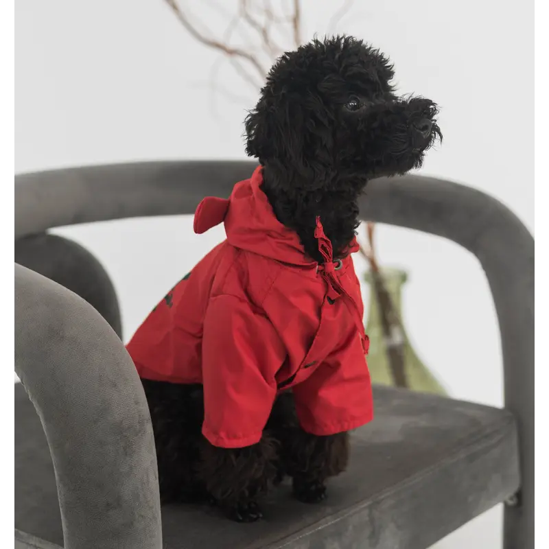 Дощовик парка DB винного кольору M-107