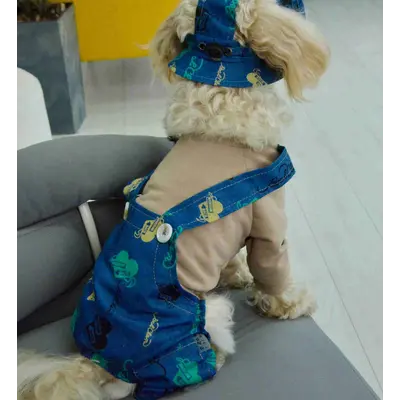 Костюм із лямками джинс серця D-214