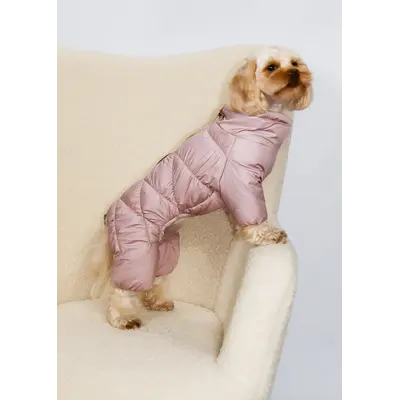 Зимовий комбінезон Comfort пудра R-65