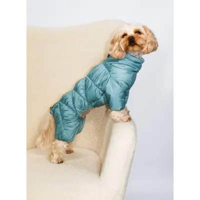 Зимовий комбінезон Comfort м'ята R-64