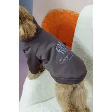 Толстовка Кураж шоколад Y-379