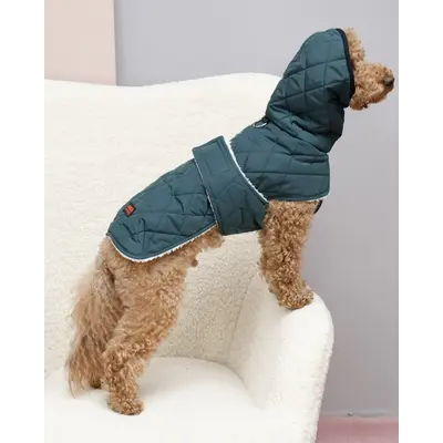 Жилет на липучці Dogs Bomba смарагд GL-13