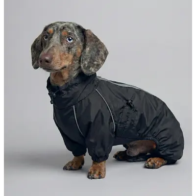 Дощовик для такс чорний MT-33