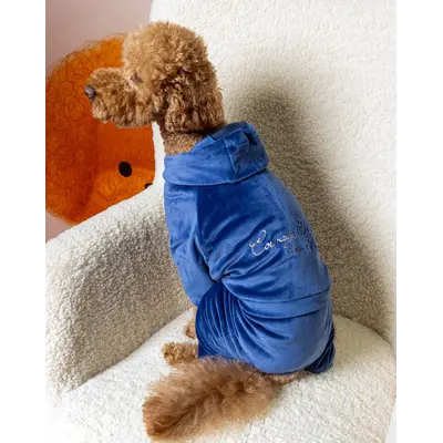 Костюм велюровий Кураж синій D-244