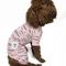 Костюм сітка Dogs Bomba рожевий D-67