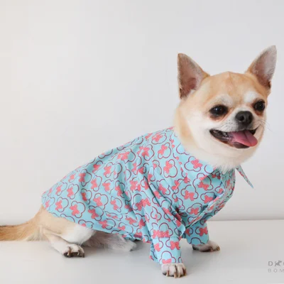 Сорочка Dogs Bomba Мiкi бірюзова 2