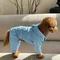 Костюм Dogs Bomba з кишенею блакитний D-143
