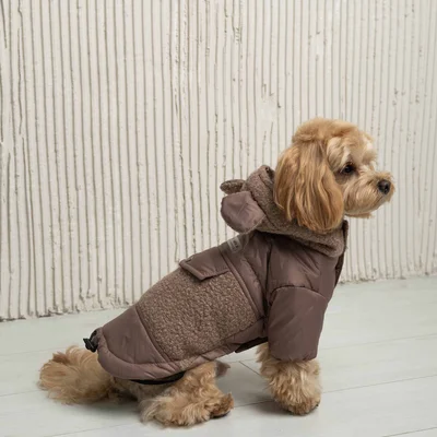 Куртка Teddy мокко K-79