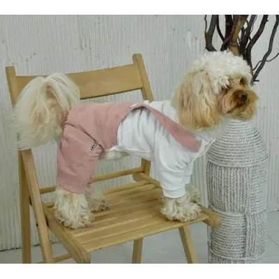 Костюм із лямками вельвет пудра D-209