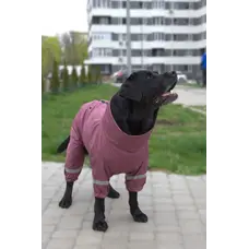 Дощовик для великих собак сливовий MB-11