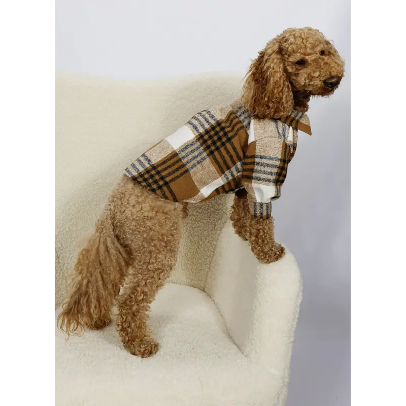 Сорочка картата шоколад RUB-63