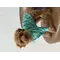 Сорочка Dogs Bomba Гуччi бірюзова RUB-38 Сорочка Dogs Bomba Гуччi бірюзова RUB-38