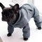 Костюм Dogs Bomba з кишенею сірий D-83