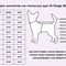 Жилет на липучці Dogs Bomba сірий GL-9