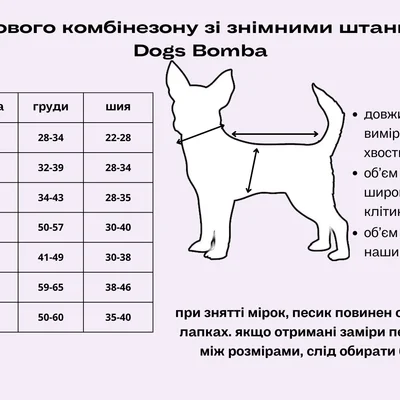 Комбінезон зі знімними штанами камуфляж блакитний CO-20