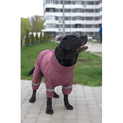 Дощовик для великих собак сливовий MB-11