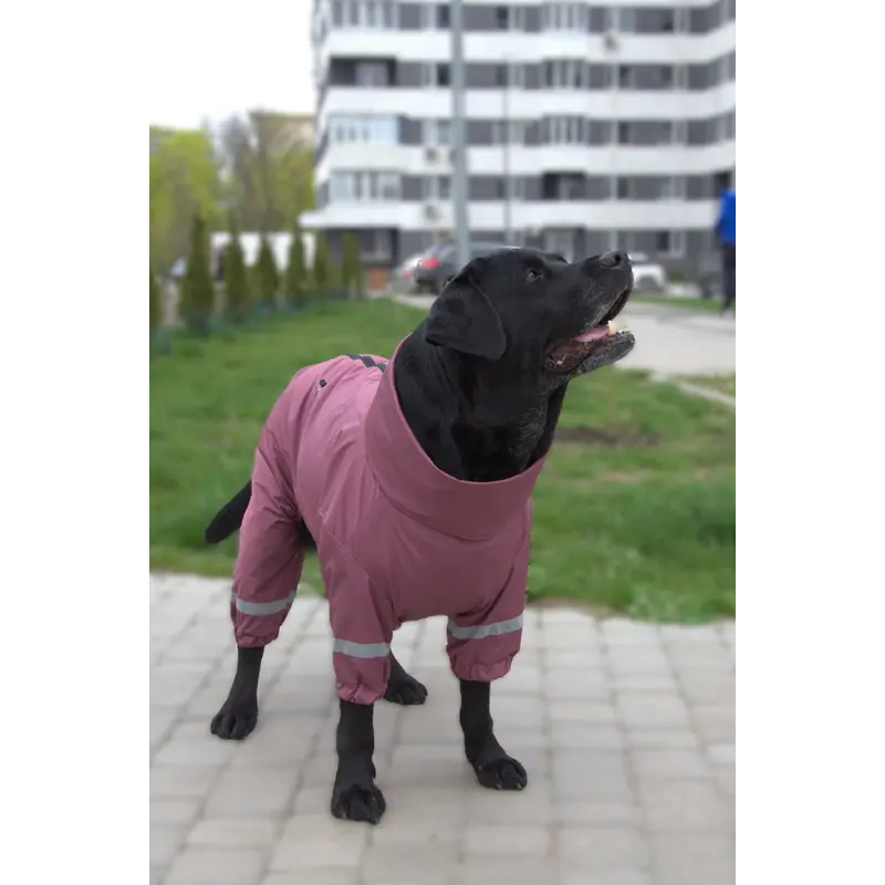 Дощовик для великих собак сливовий MB-11