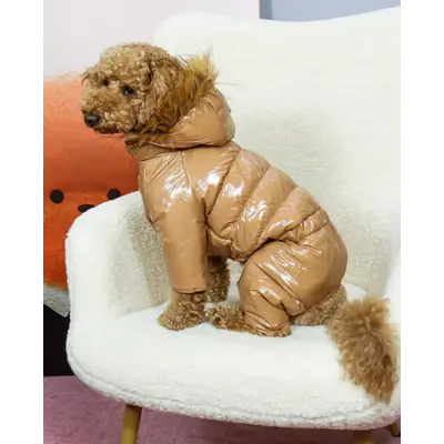 Зимовий комбінезон лакований карамель A-87