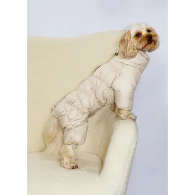 Зимовий комбінезон Comfort беж R-66