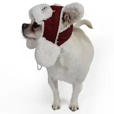 Шапка з вушками марсала S-98