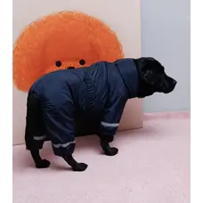 Дощовик для великих собак наві MB-12