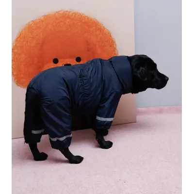 Дощовик для великих собак наві MB-12