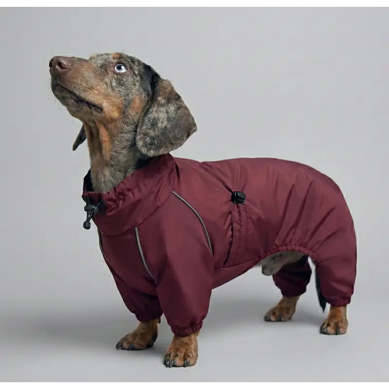 Дощовик для такс марсала MT-32