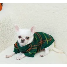 Светр в'язаний Burberry смарагд Y-366